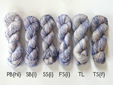 Load image into Gallery viewer, Twinkle Dust side-by-side on all DDD yarn families
